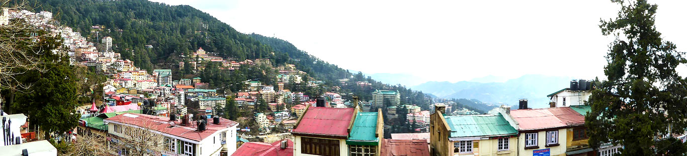 Shimla