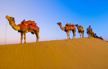 Jaisalmer