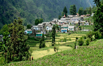 Ranikhet